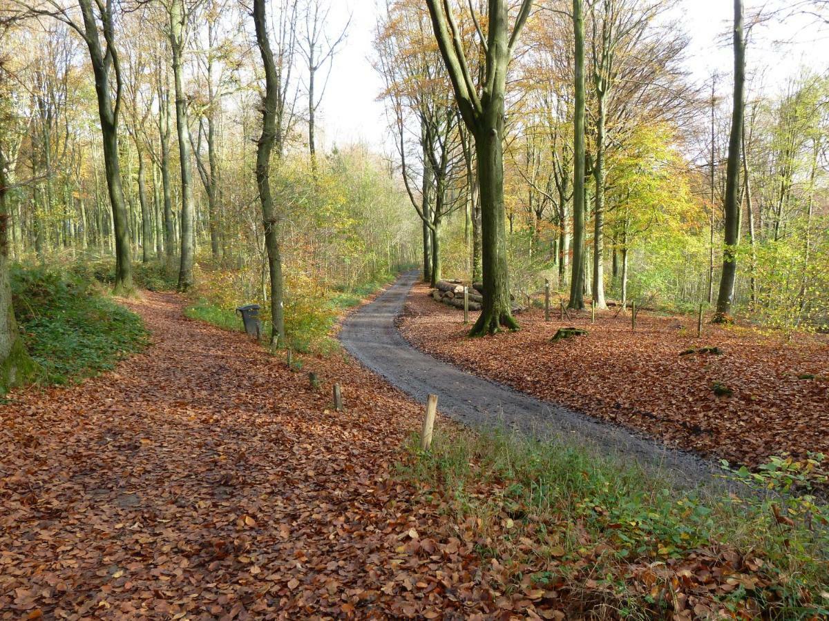 Entre Monts Et Collines B&B Et Spa En Option Zewnętrze zdjęcie